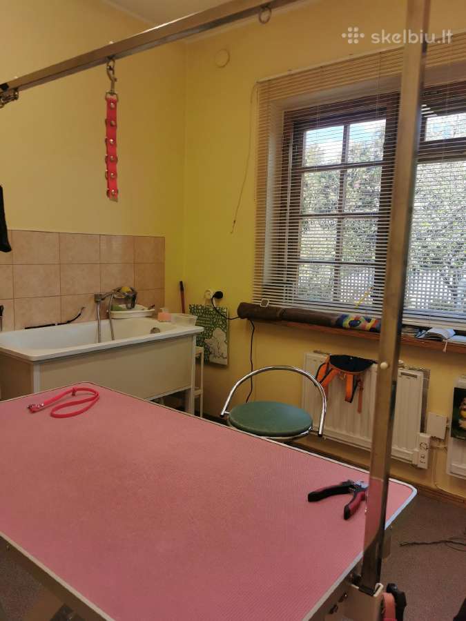 Šuniukų kirpyklėlės nuoma Vilijampolėje