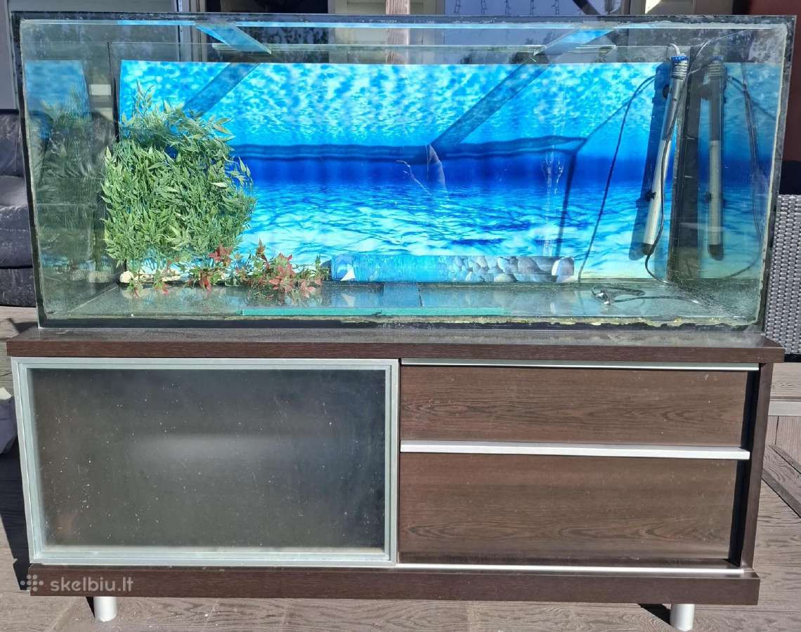 240l akvariumas + spintelė