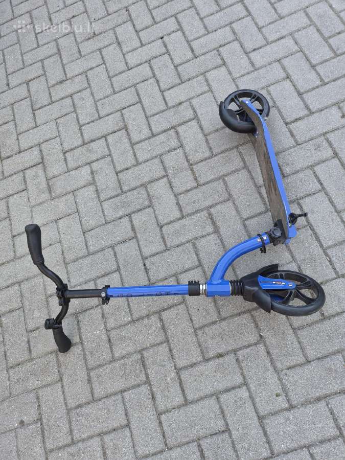 Paspirtukas Šveicariškas
