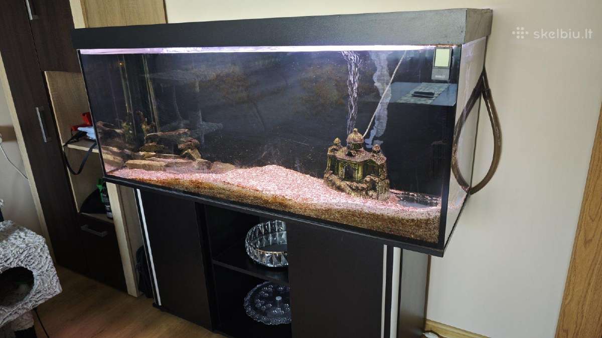 Parduodamas 500l akvariumas su spintele ir įranga