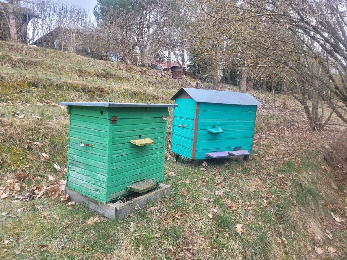 Parduodami aviliai su rėmeliais Vilniaus raj