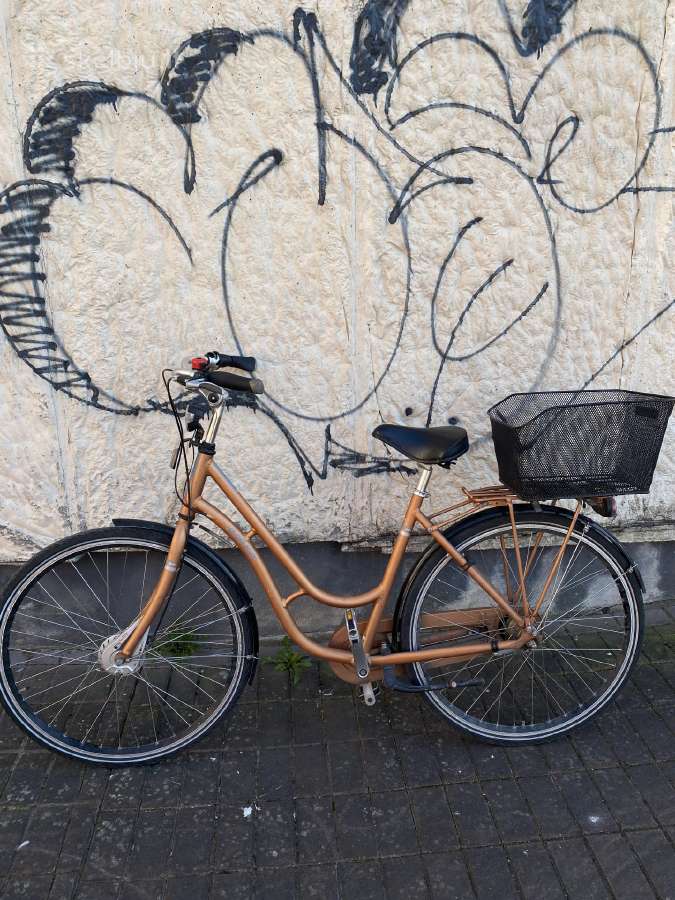 Moteriškas miesto dviratis