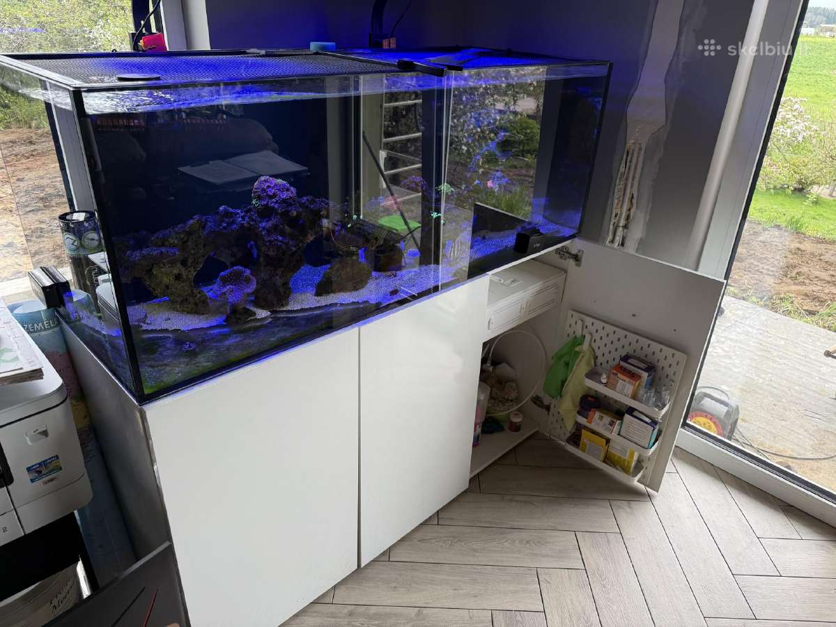 Jūrinis akvariūmas