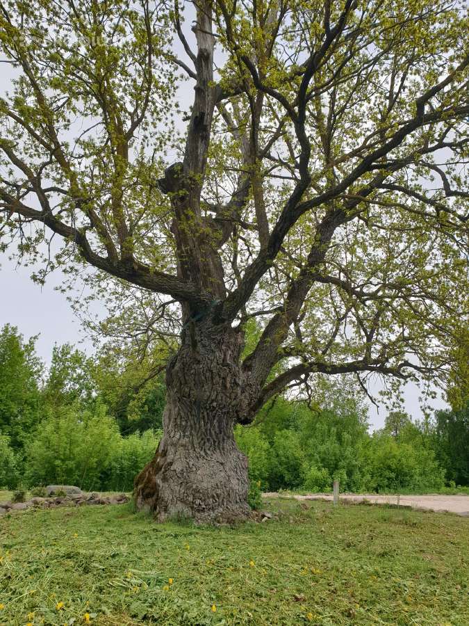 Parduodu sklypą