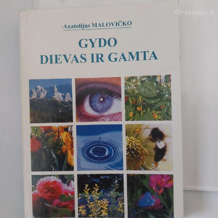 Knyga