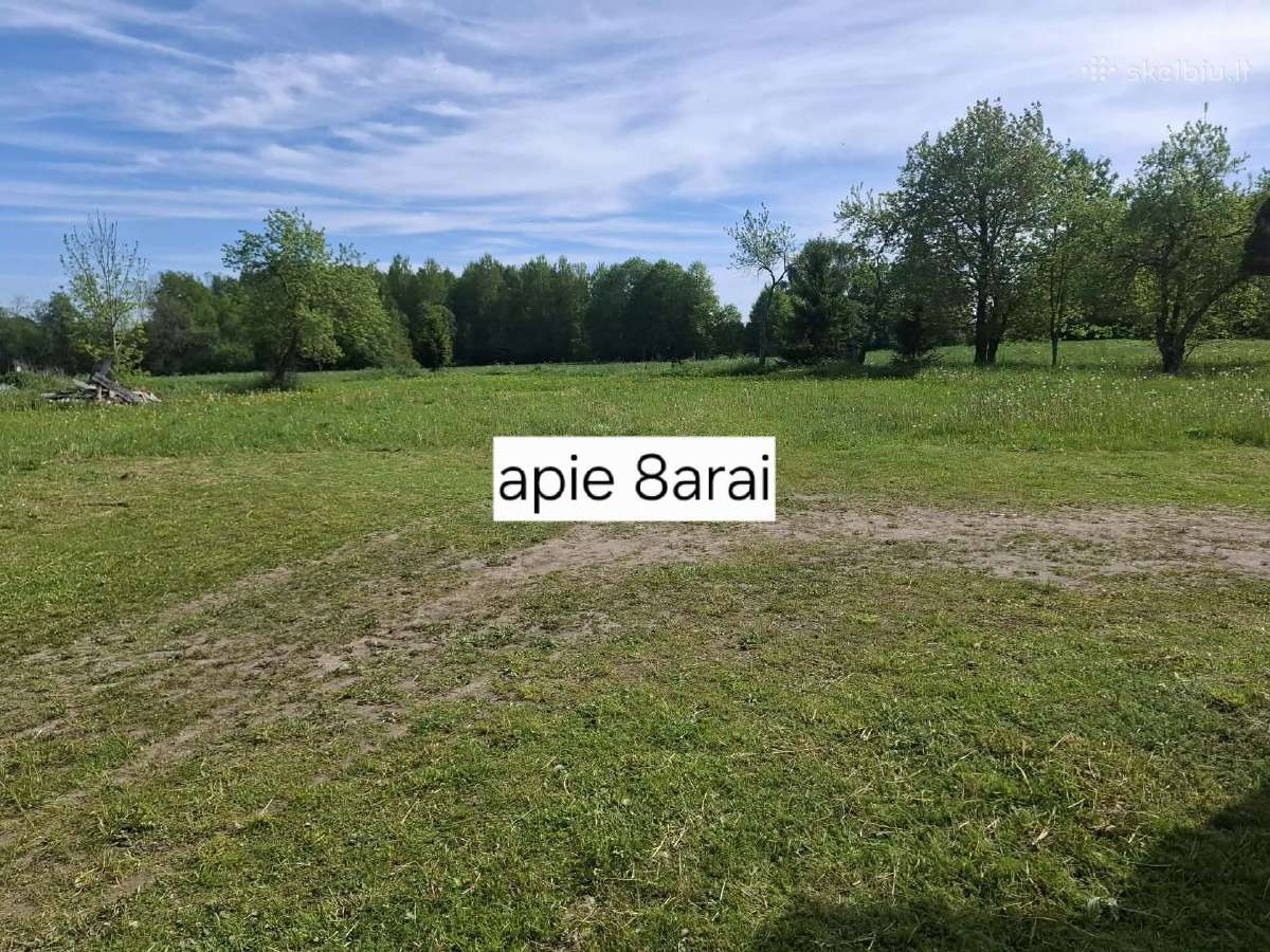 Butas miškingoje vietoje