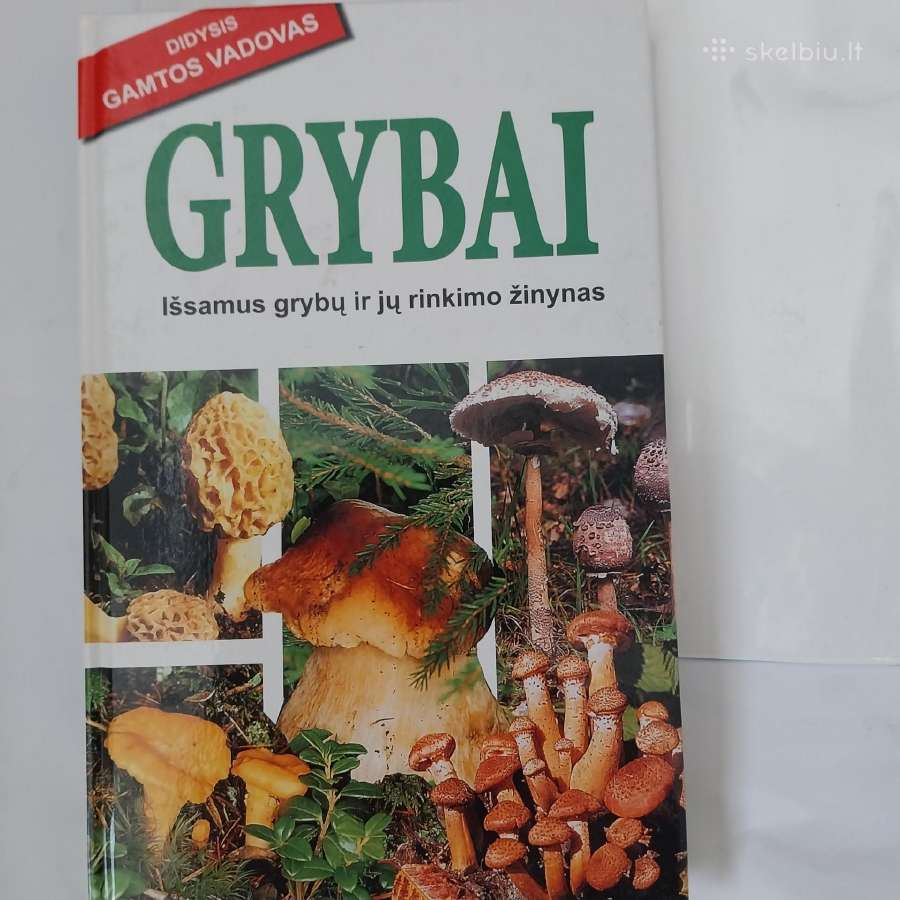 Knyga