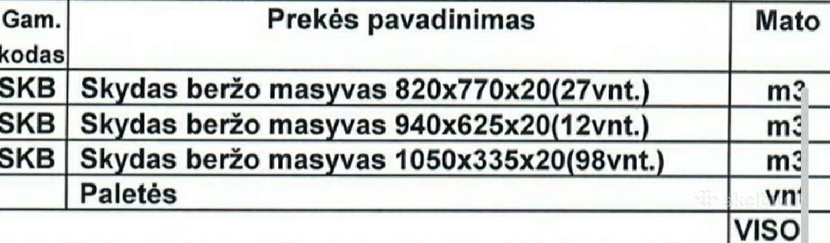 Beržo skydai - nuotraukos Nr. 2