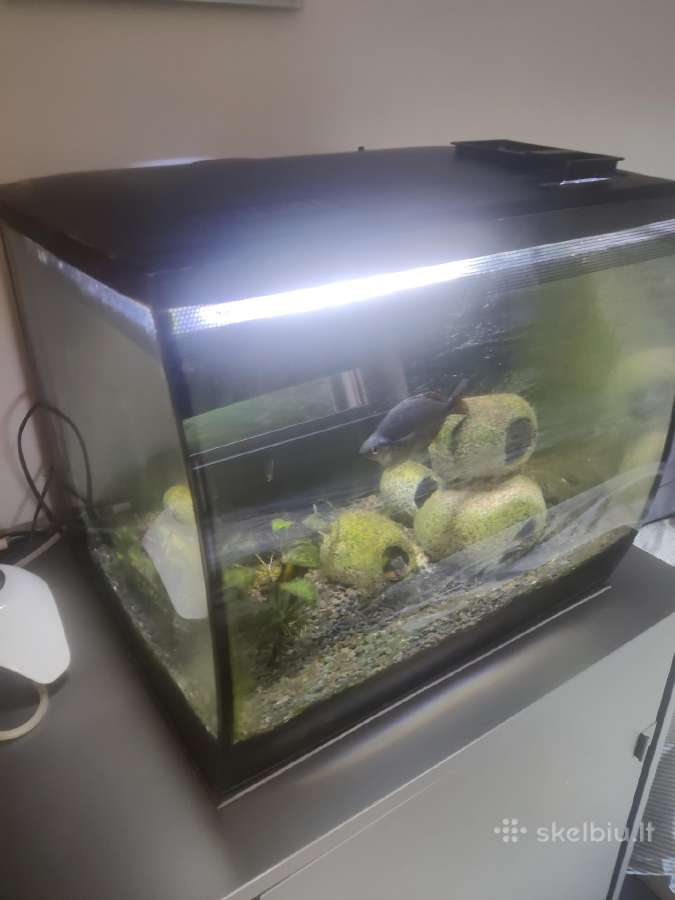 Juwel akvariumas 120 l - nuotraukos Nr. 2