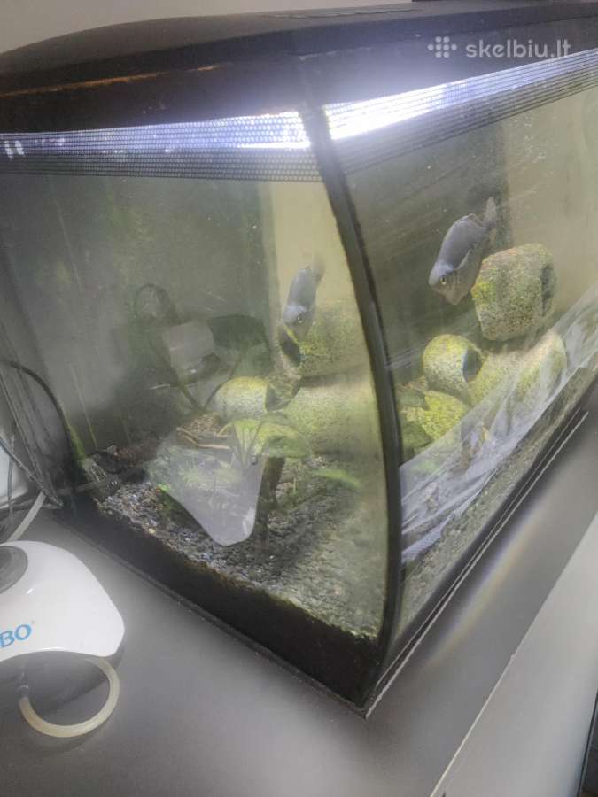 Juwel akvariumas 120 l