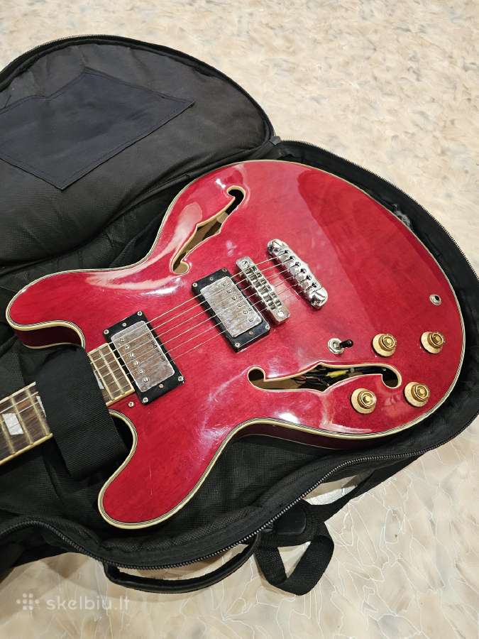 Aria Duncan designed elektrinė gitara - nuotraukos Nr. 2