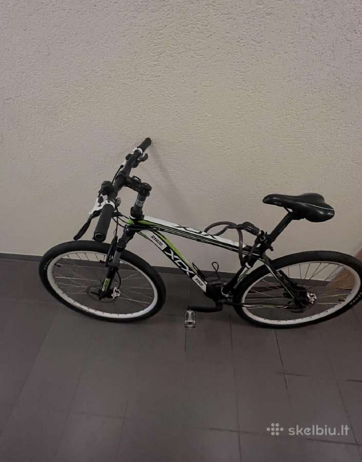 Dviratis Xcx Rx600