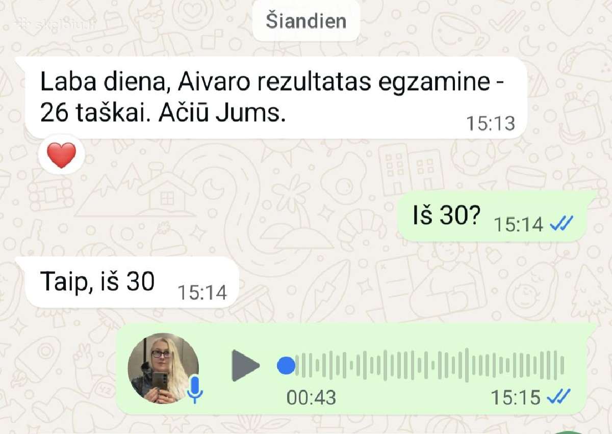 Lietuvių kalbos mokytoja korepetitorė - nuotraukos Nr. 30