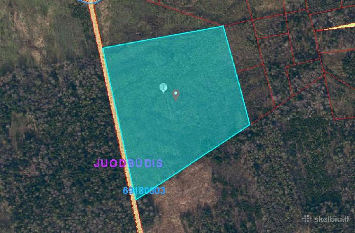 Parduodamas miškas Prienų r., 10,47 ha.
