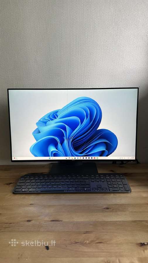 Dell 24monitorius