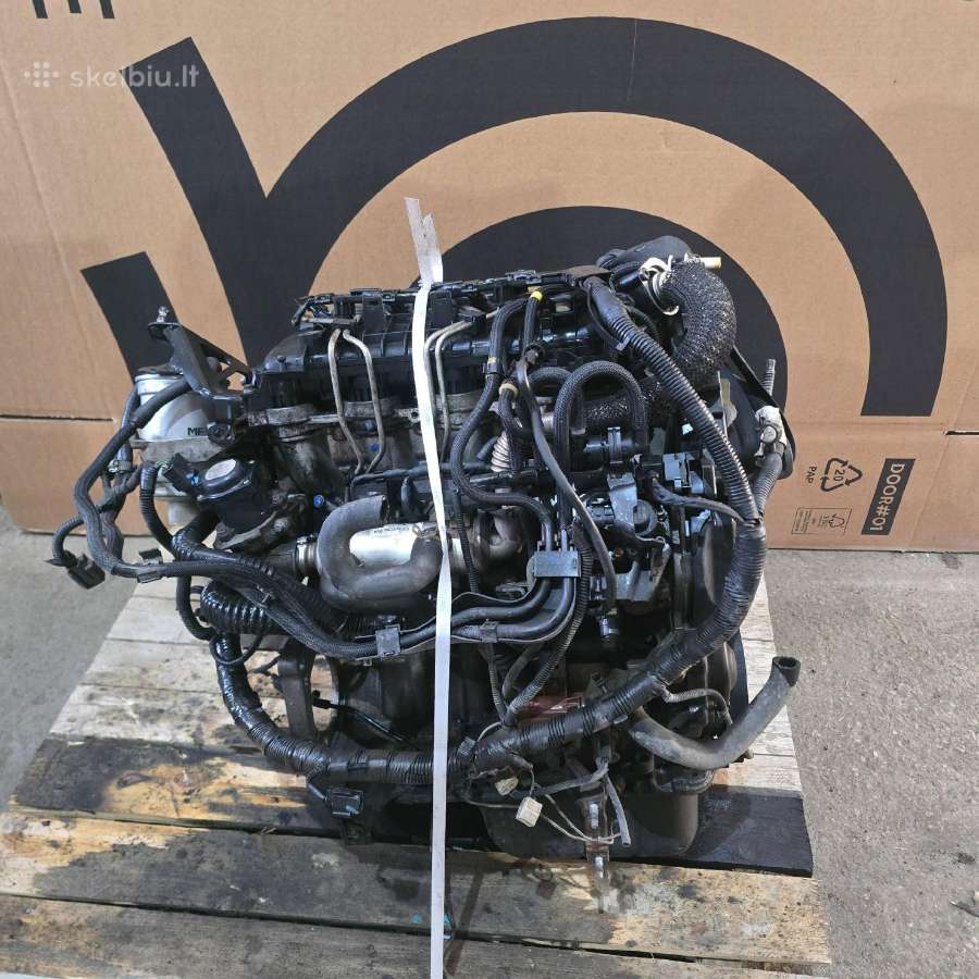 Volvo C30 variklis D4164t dyzelinas 1600 cm³ 80 kw
