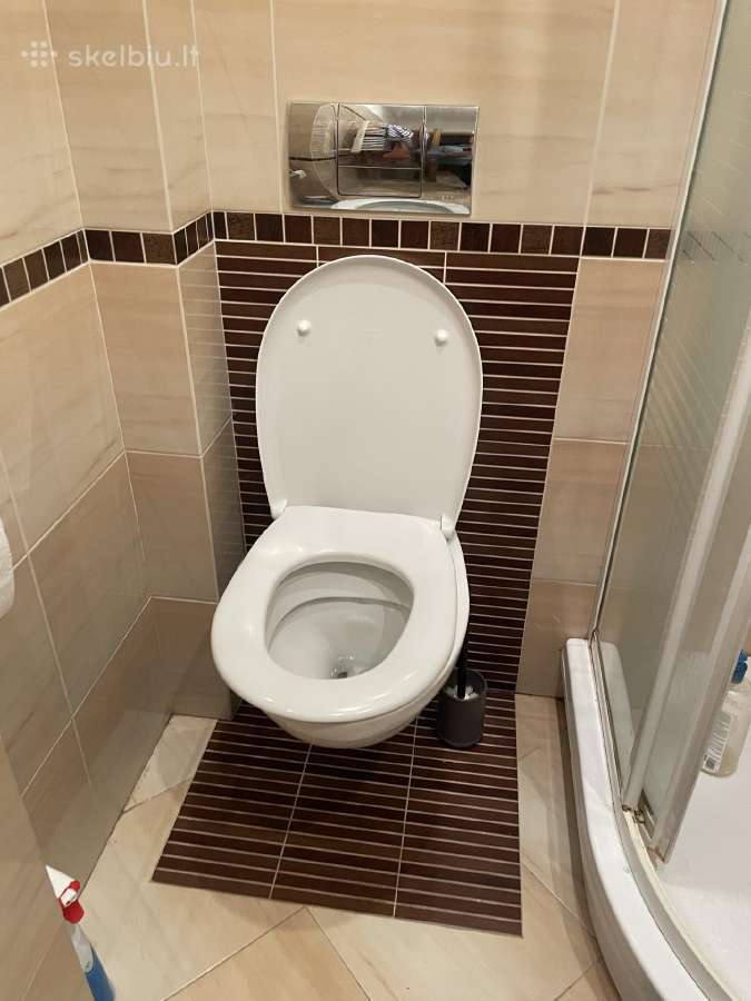 Vegos rėmas, migtukas ir WC puodas su dangciu
