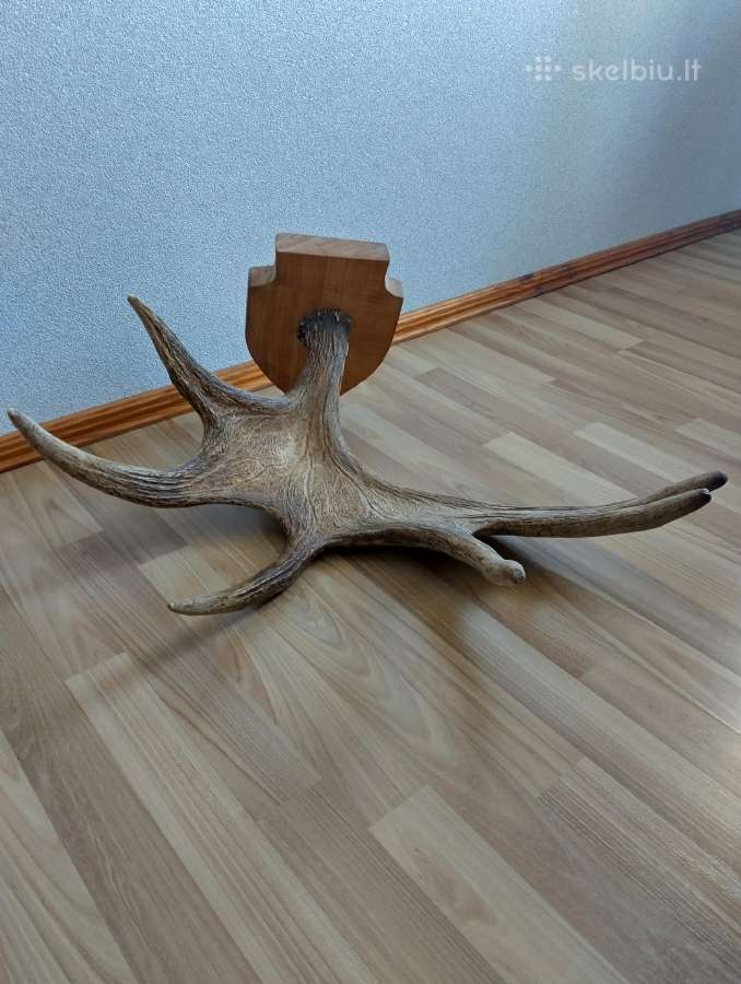 Parduodu