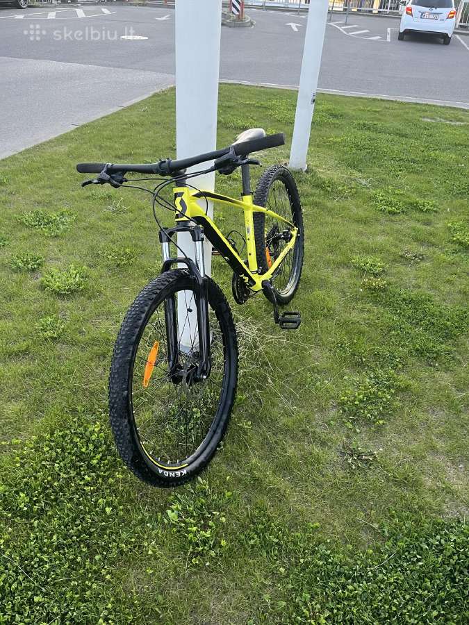 MTB dviratis Scott