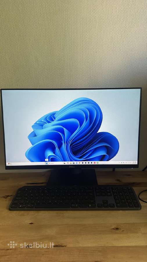 Dell 24 monitorius