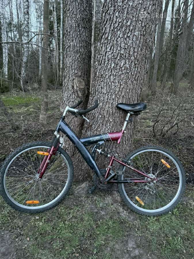 Dviračiai po 40e perkant visus po 35
