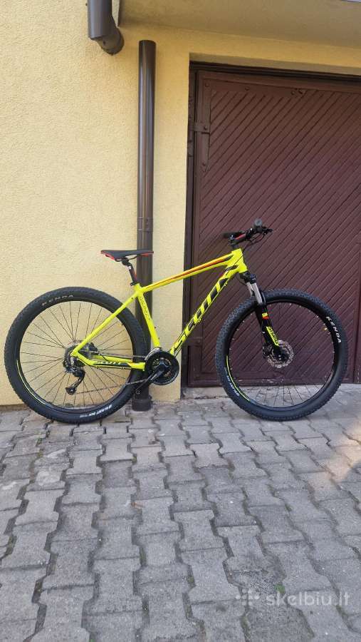 Scott 29 L.