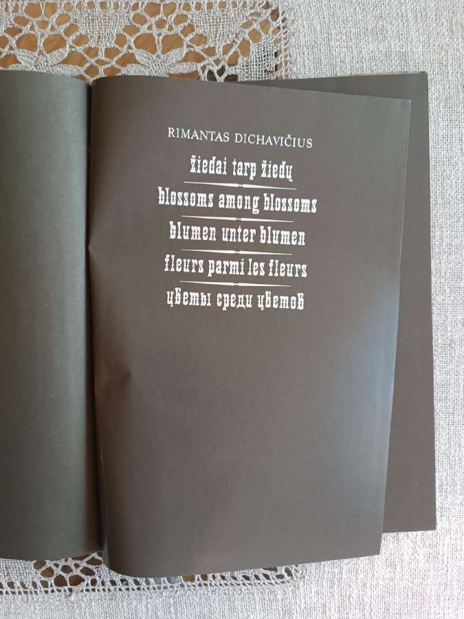 Albumas R.dichavičius Žiedai tarp žiedų - nuotraukos Nr. 5