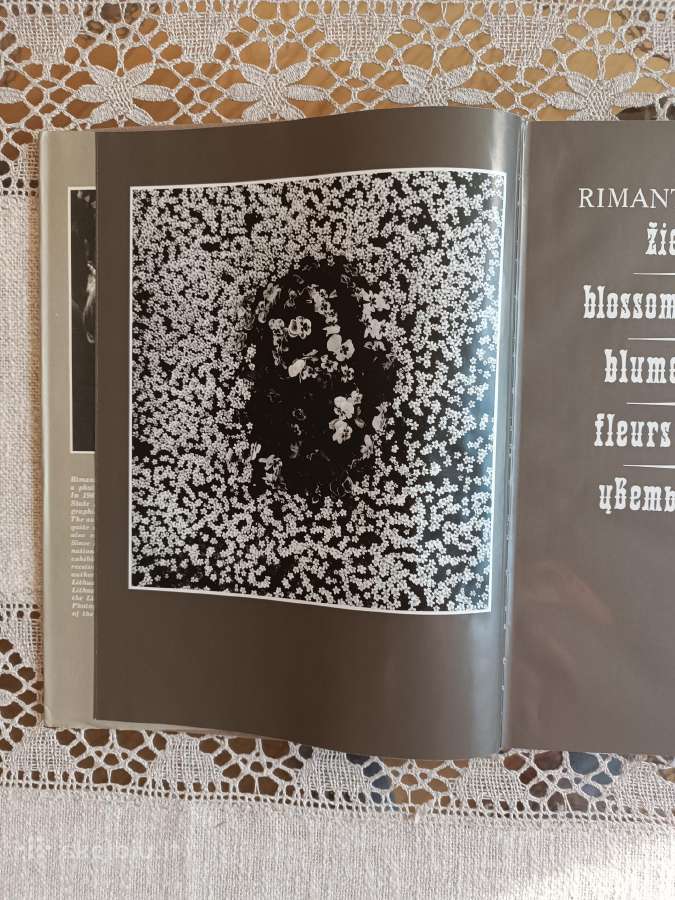 Albumas R.dichavičius Žiedai tarp žiedų - nuotraukos Nr. 7