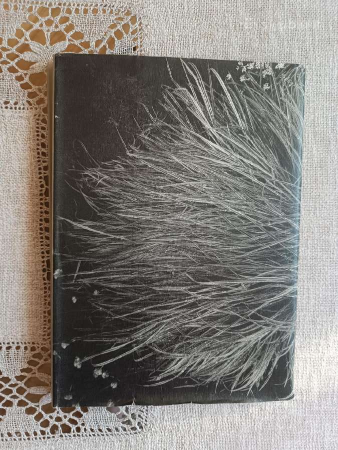 Albumas R.dichavičius Žiedai tarp žiedų - nuotraukos Nr. 20