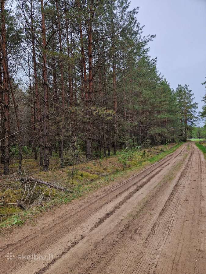 Parduodu sklypa Rodukos Kaime - nuotraukos Nr. 2
