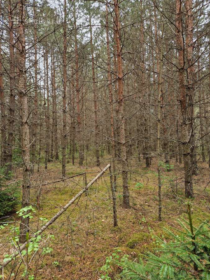 Parduodu sklypa Rodukos Kaime - nuotraukos Nr. 3