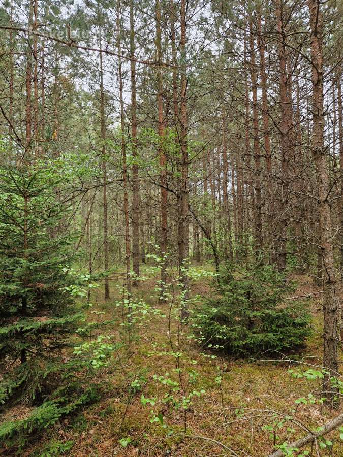 Parduodu sklypa Rodukos Kaime - nuotraukos Nr. 4