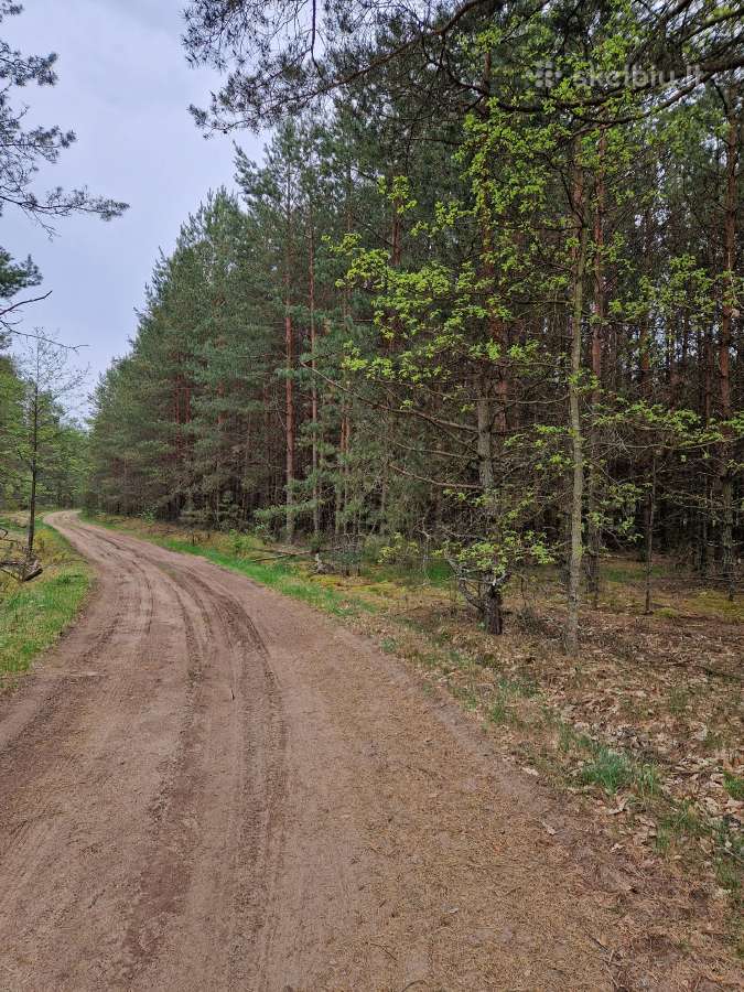 Parduodu sklypa Rodukos Kaime - nuotraukos Nr. 5