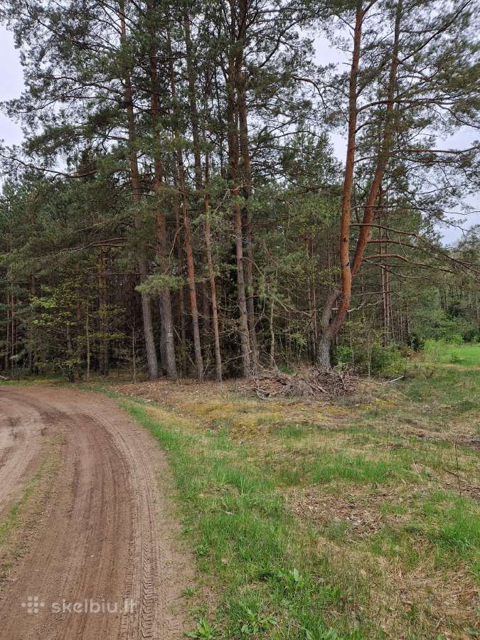 Parduodu sklypa Rodukos Kaime - nuotraukos Nr. 7