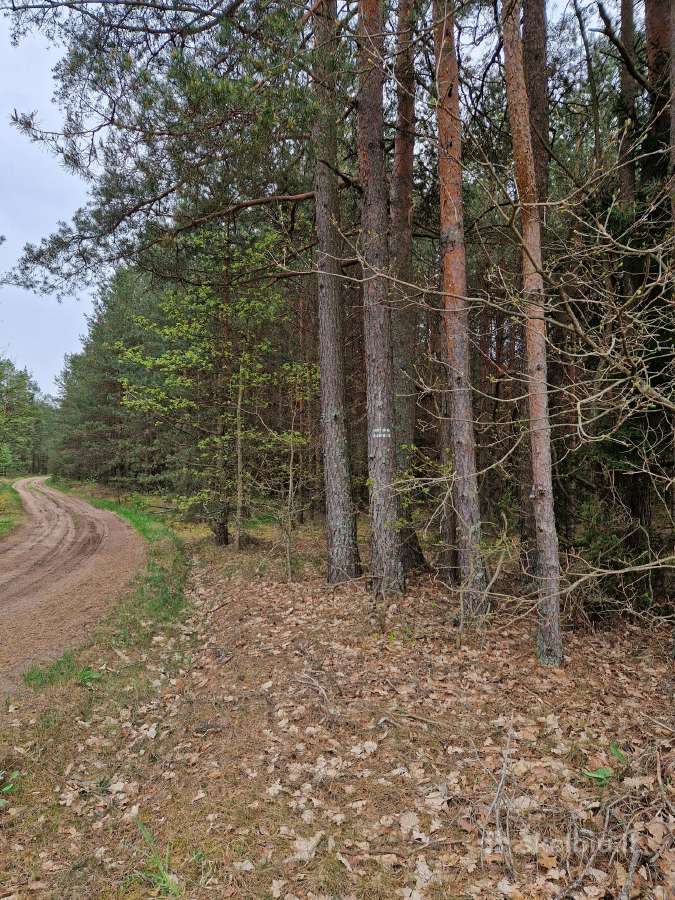 Parduodu sklypa Rodukos Kaime - nuotraukos Nr. 8