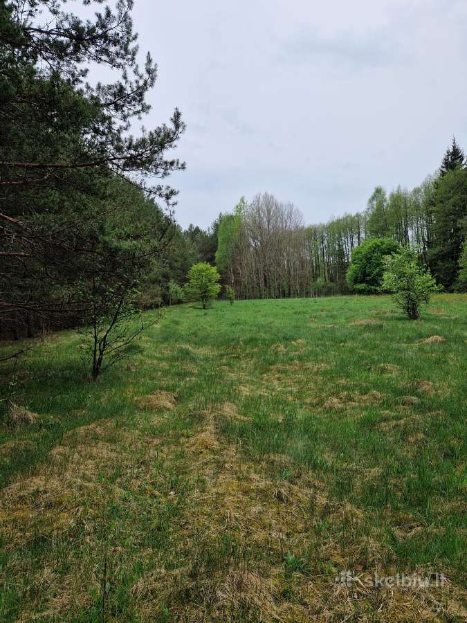 Parduodu sklypa Rodukos Kaime - nuotraukos Nr. 9