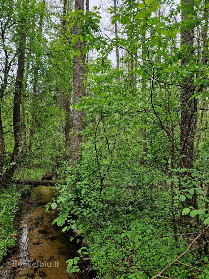 Parduodu sklypa Rodukos Kaime - nuotraukos Nr. 12