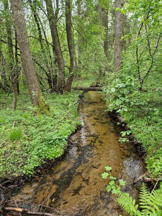 Parduodu sklypa Rodukos Kaime - nuotraukos Nr. 14