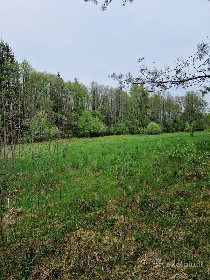 Parduodu sklypa Rodukos Kaime - nuotraukos Nr. 15