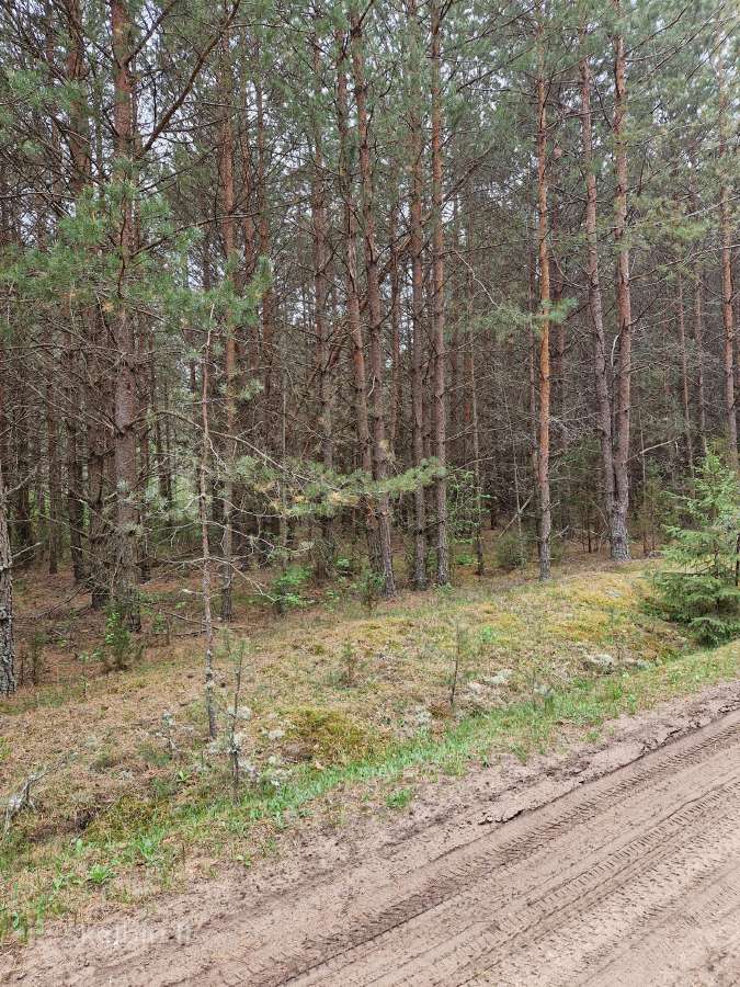 Parduodu sklypa Rodukos Kaime - nuotraukos Nr. 16