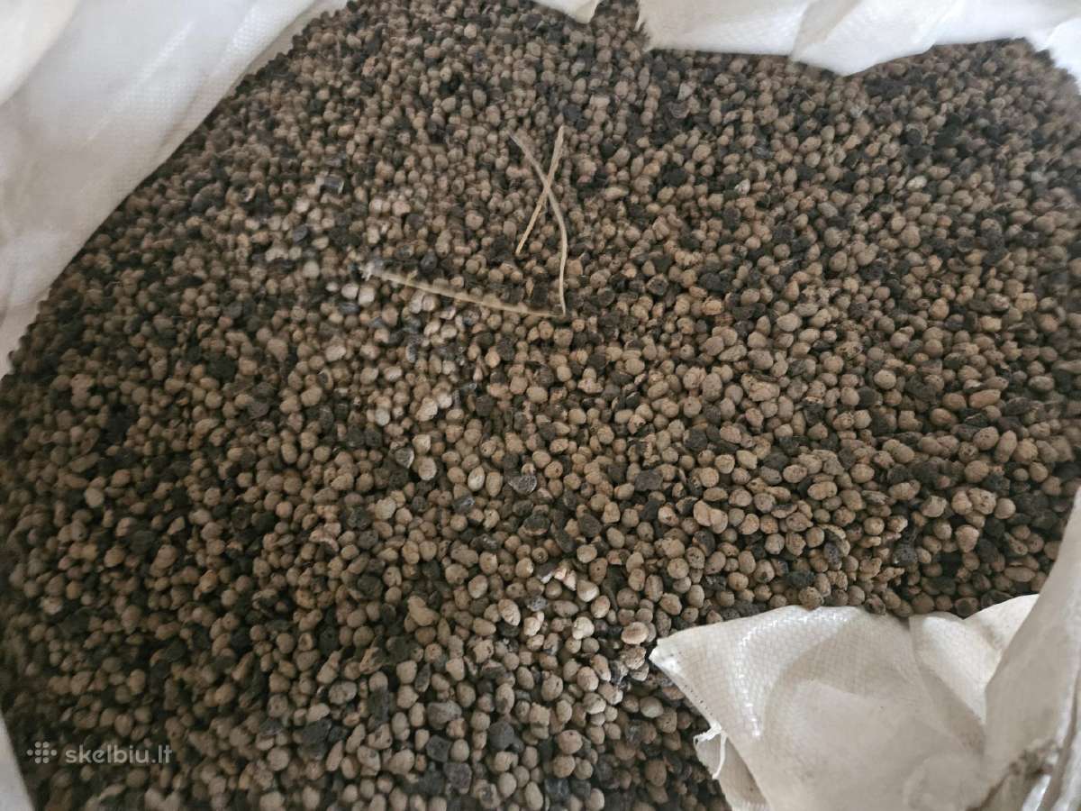 Keramzitas