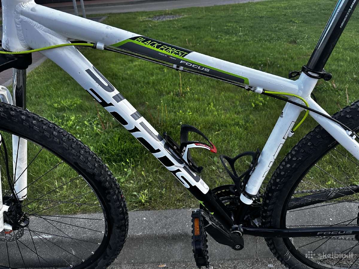 Dviratis Focus Black Forest MTB 29 - nuotraukos Nr. 2