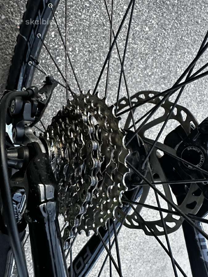 Dviratis Focus Black Forest MTB 29 - nuotraukos Nr. 8