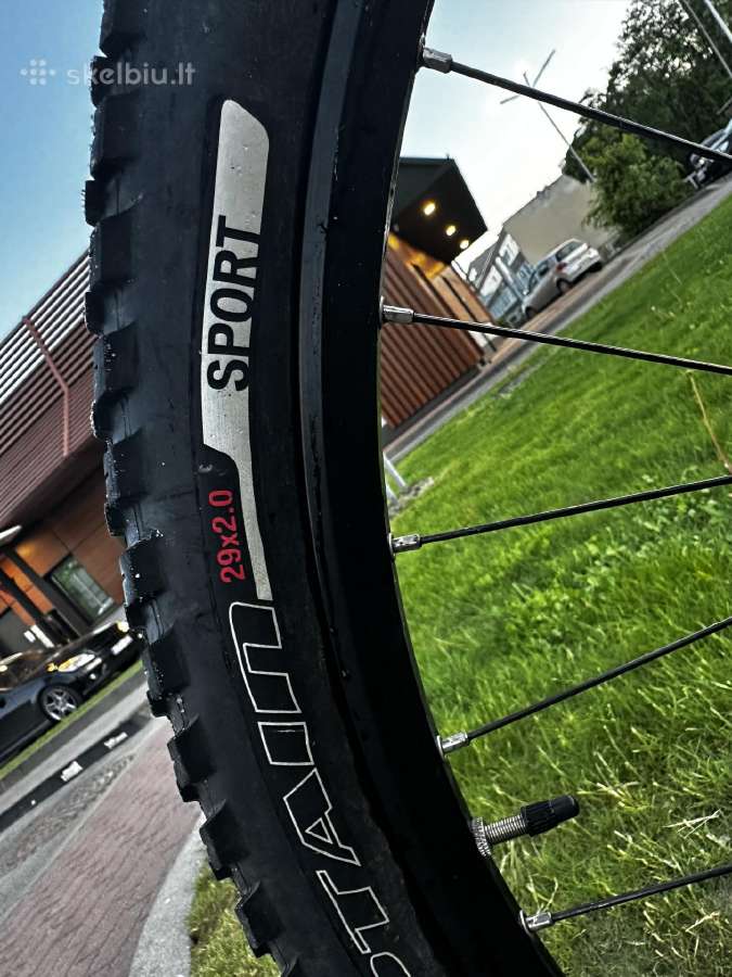 Dviratis Focus Black Forest MTB 29 - nuotraukos Nr. 13