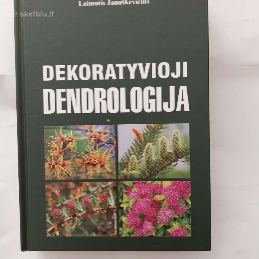 Knyga
