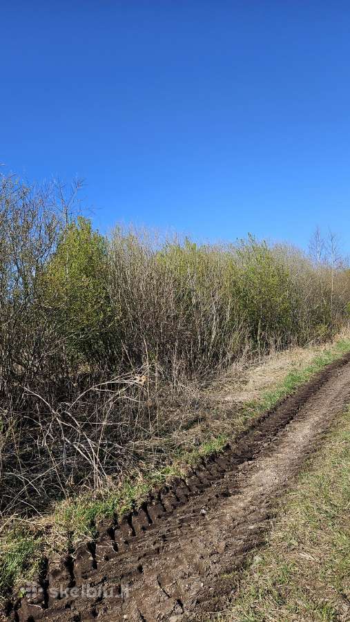 36 ha Zemes Ukio Zeme Papelkiuose