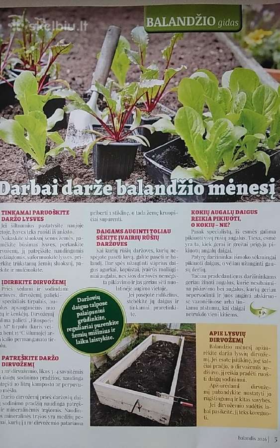 Daržas+sodas+namai 2026 balandis - nuotraukos Nr. 4
