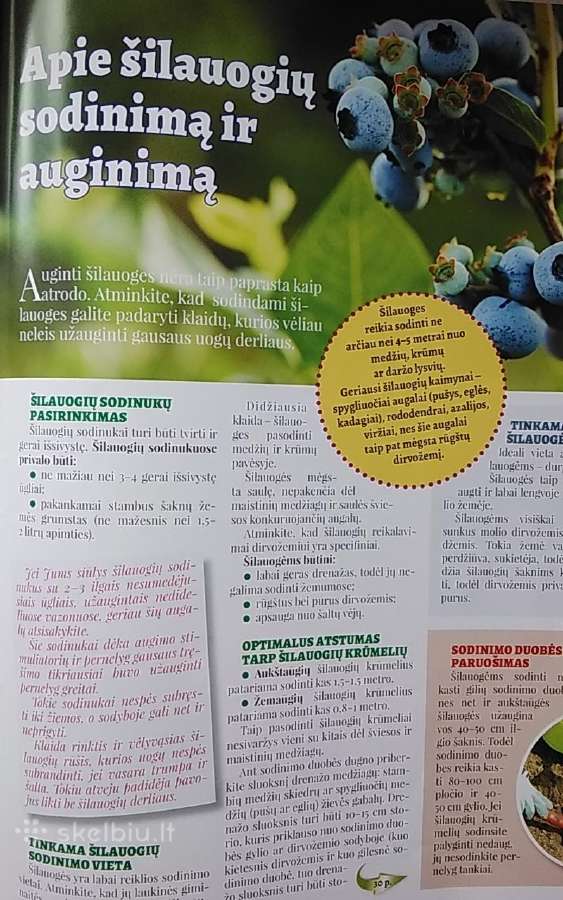 Daržas+sodas+namai 2026 balandis - nuotraukos Nr. 7