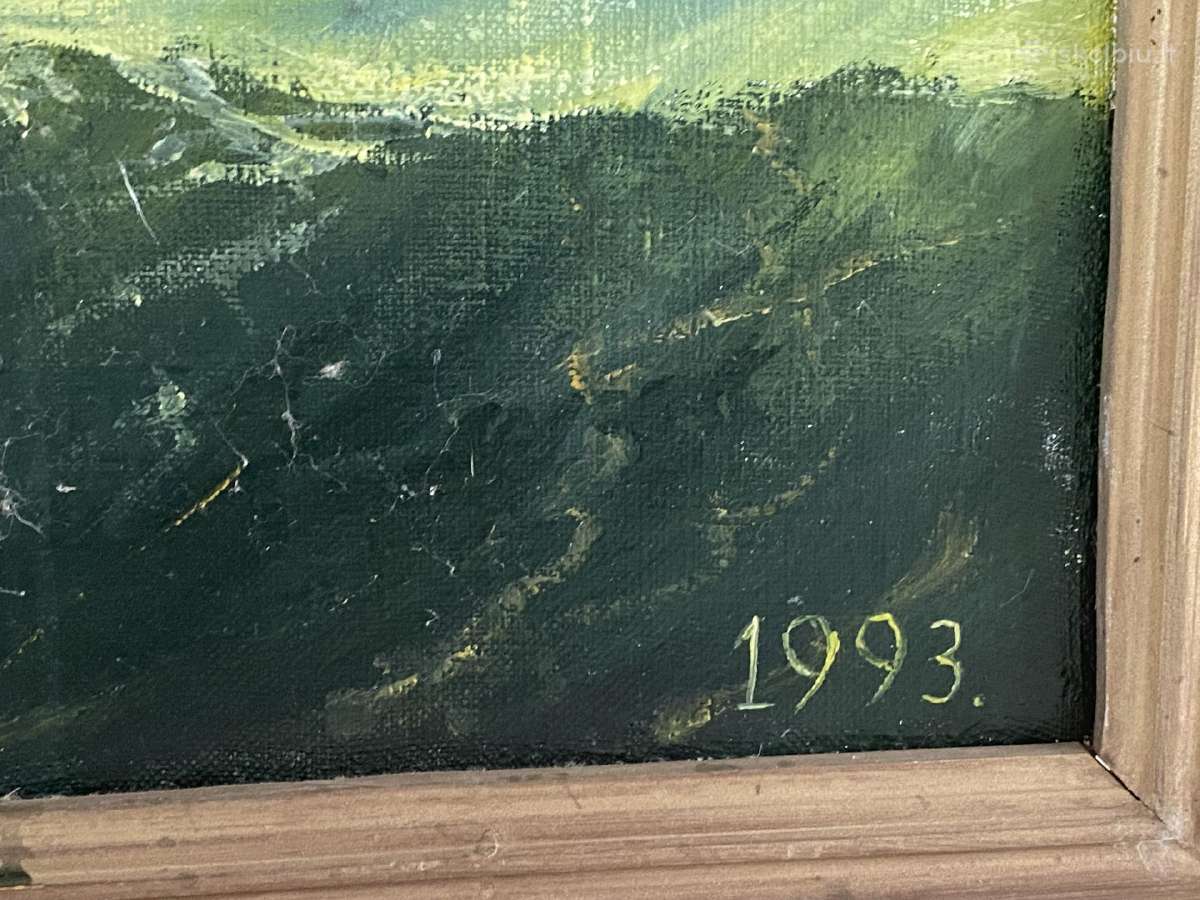 Aliejiniais dažais tapytas paveikslas 1993 m - nuotraukos Nr. 7