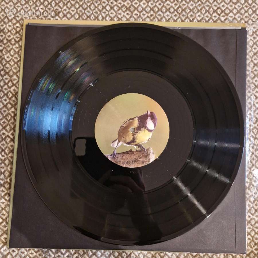 Rafael Toral - Spectral Evolution / Vinyl Lp - nuotraukos Nr. 4